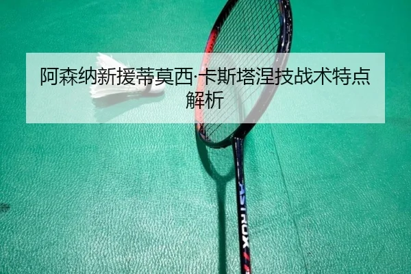 a-sen-na-xin-yuan-di-mo-xi-ka-si-ta-nie-ji-zhan-shu-te-dian-jie-xi-2-227.jpg